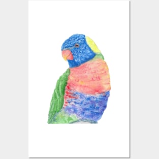 Watercolor rainbow lorikeet parrot watercolor portrait Posters and Art